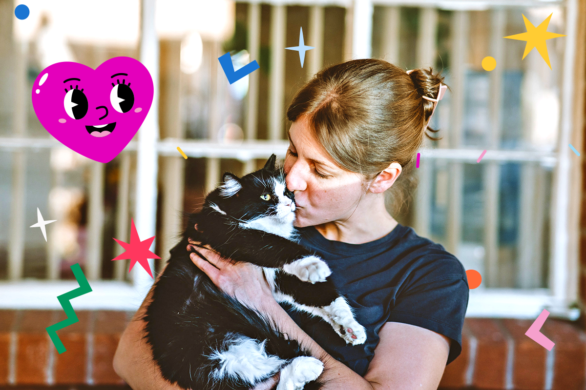 cute black and white cat being hugged by woman